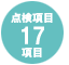 17項目点検