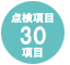 30項目点検