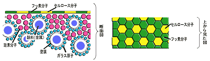 アークハイコーティング剤の科学的図解結合イメージ図<